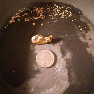 Meet your Posher, Godbold